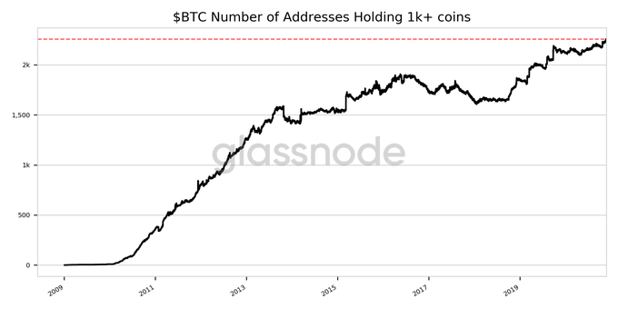 Number of Addresses Holding 1k+ coins hit ATH of 2257